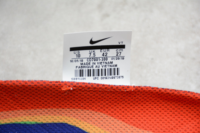 Air VaporMax 2019 Cactus Plant Flea Market CD7001-300